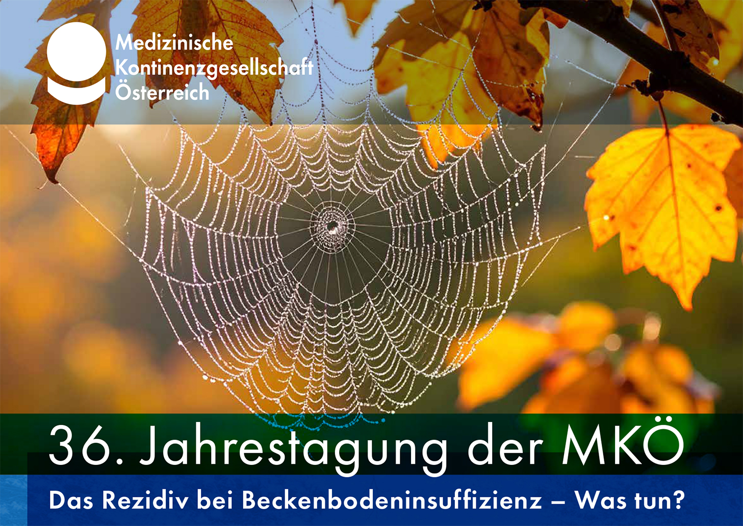 Das Programmheft ist da!